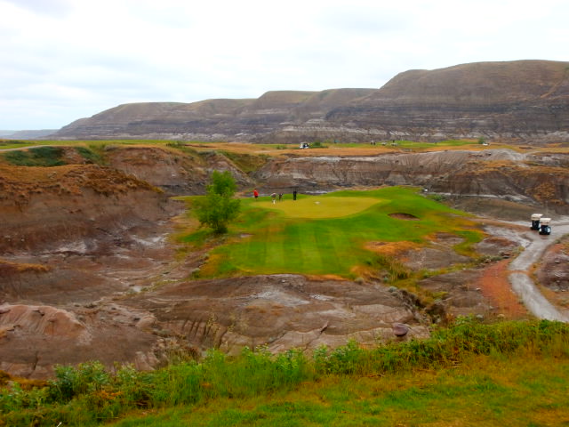 Canalta Charity Golf Tournament Drumhellar Dragons - 19